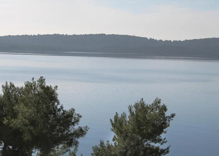 6023c * 特罗吉尔